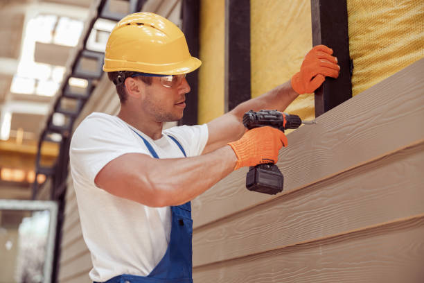 Affordable Siding Repair and Maintenance Services in Independence, WI